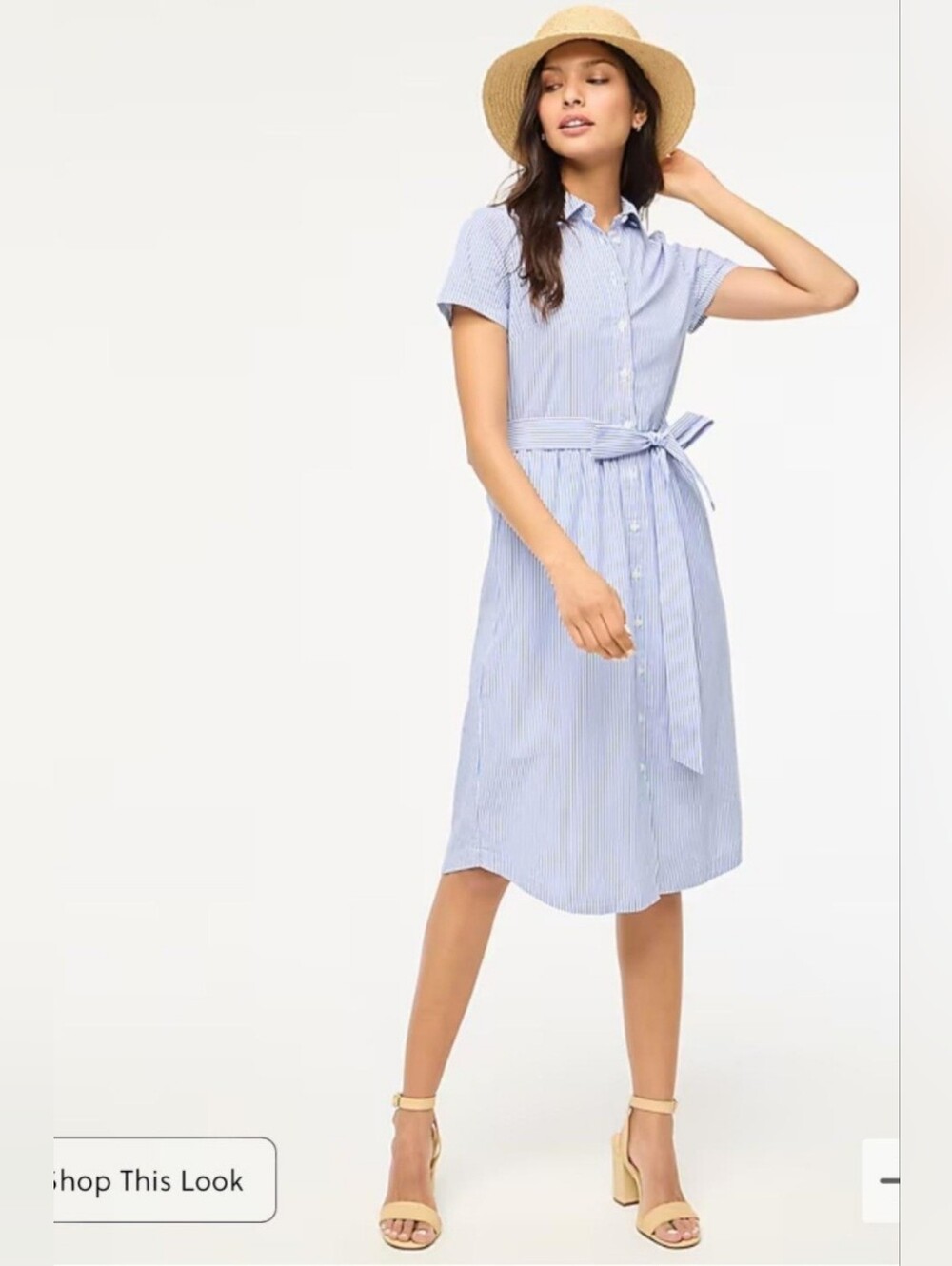 J. Crew Light Blue Striped Button-Front Midi Dress